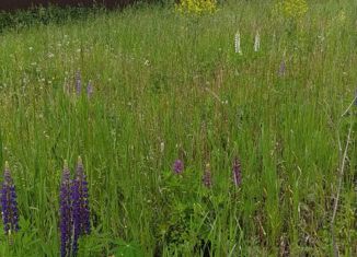 Земельный участок на продажу, 19 сот., деревня Ключи