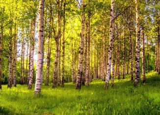 Участок на продажу, 2400 сот., село Малое Агишево