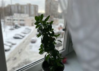 Продажа трехкомнатной квартиры, 63.5 м2, Санкт-Петербург, улица Веденеева, 4, улица Веденеева