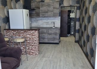 Продам квартиру студию, 25 м2, село Михайловка, Новоуфимская улица, 15