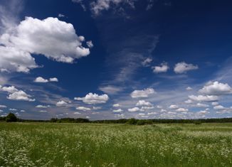 Продаю участок, 4000 сот., деревня Замошье