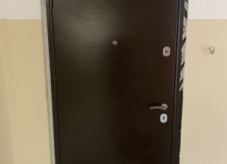 Продаю однокомнатную квартиру, 38.4 м2, Тамбов, улица Агапкина, 19А