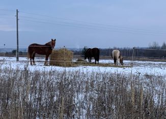 Продам земельный участок, 10 сот., деревня Чашницы