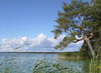 Продам земельный участок, 9.9 сот., поселок Приладожское, Центральная улица, 59