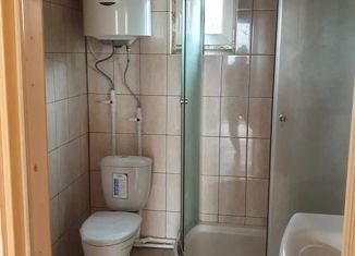Продажа дома, 140 м2, деревня Святье
