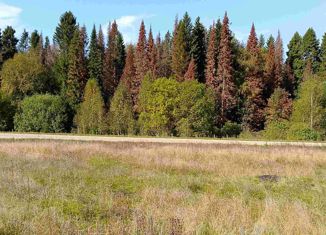 Продается земельный участок, 25 сот., деревня Шалашная