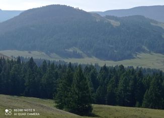 Продажа участка, 250 сот., село Балыктуюль, Центральная улица