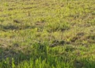 Продажа участка, 7.1 сот., деревня Пальчино
