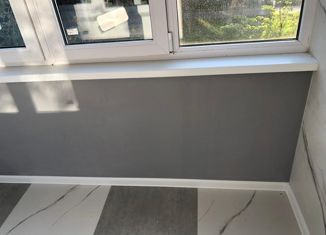 Сдаю в аренду однокомнатную квартиру, 32 м2, Казань, Советский район, Парковая улица, 21