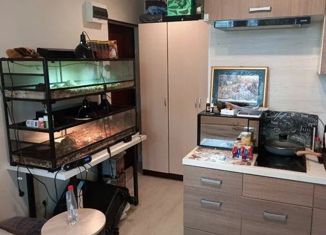 Продажа квартиры студии, 17.5 м2, Москва, Покровская улица, 17Ак3, метро Некрасовка