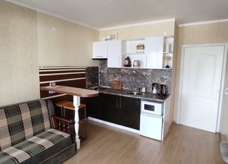 Сдача в аренду квартиры студии, 25 м2, Чайковский, бульвар Текстильщиков, 8