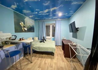 Продается квартира студия, 20.5 м2, Ставрополь, 3-й Юго-Западный проезд, 8, микрорайон № 28