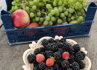 Продается земельный участок, 4.4 сот., садовое товарищество Тихие зори, 12-я улица