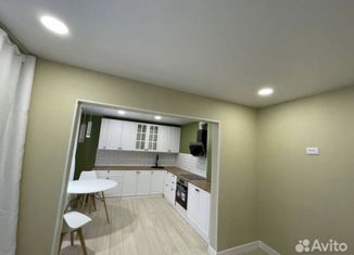 Однокомнатная квартира на продажу, 39.5 м2, Петропавловск-Камчатский, улица Виталия Кручины, 6, микрорайон Северо-Восток