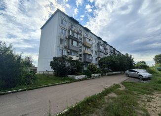 Продается двухкомнатная квартира, 47.9 м2, село Покровка, улица Космонавтов, 3