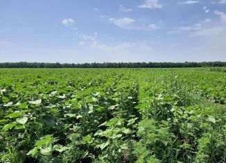 Продам земельный участок, 12.2 сот., поселок Каменный, улица Гагарина