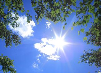 Продажа земельного участка, 3 сот., садовое товарищество Родник