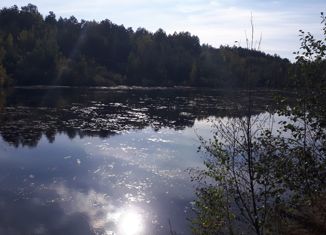 Продаю участок, 11 сот., посёлок Палкинский Торфяник, Торфяная улица