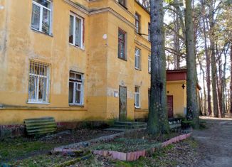 Продаю однокомнатную квартиру, 24 м2, Светлогорск, Калининградский проспект, 44