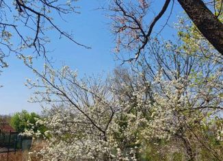 Дом на продажу, 20 м2, посёлок Трудовое, СНТ Пенсионер, 223