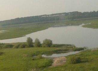 Продажа дома, 40 м2, деревня Каинки, Центральная улица