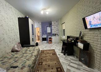 Продается квартира студия, 27 м2, Абинск, улица Советов, 128А