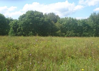 Продам земельный участок, 40 сот., посёлок Верхнечусовские Городки, Нагорная улица