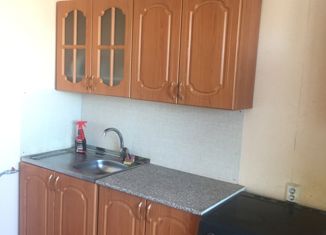 Сдается в аренду двухкомнатная квартира, 45 м2, Челябинск, улица Габдуллы Тукая, 15