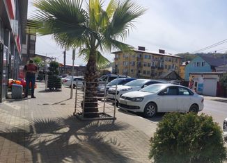 Продается квартира студия, 30 м2, село Весёлое, улица Мира, 133