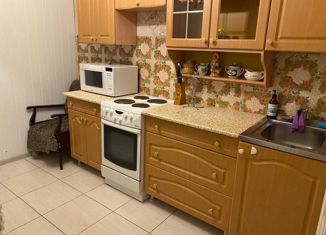 2-комнатная квартира в аренду, 49.3 м2, Ленинградская область, улица Красных Фортов, 33