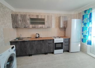 Сдается однокомнатная квартира, 36 м2, Волжский, улица имени О.В. Скрипки, 3