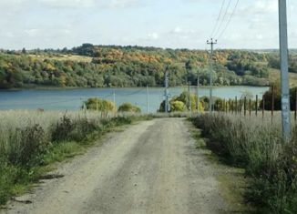 Продажа участка, 20 сот., деревня Новое Сельцо, деревня Новое Сельцо, 17