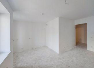 Продается квартира студия, 24.7 м2, Санкт-Петербург, метро Ладожская, Заневский проспект, 42