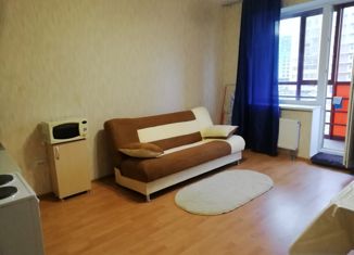 Сдается квартира студия, 26 м2, Мурино, улица Шоссе в Лаврики, 76, ЖК Тридевяткино Царство