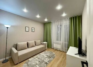 Продажа однокомнатной квартиры, 27.8 м2, Великий Новгород, улица Якова Павлова, 11к2, ЖК Ивушки