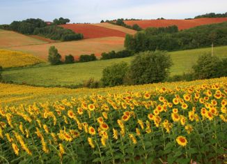 Участок на продажу, 82000 сот., село Салаирка