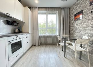 Сдается в аренду однокомнатная квартира, 37 м2, Уфа, улица Менделеева, 156, Советский район