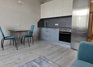 Продается 1-ком. квартира, 45 м2, Пермь, Екатерининская улица, 10