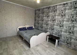 Однокомнатная квартира на продажу, 27 м2, Алейск, улица имени В. Олешко, 23