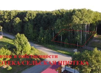 Продается участок, 10 сот., село Виноградовка, улица Новосёлов