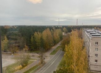 2-комнатная квартира на продажу, 45.7 м2, Сосновый Бор, улица Космонавтов, 8