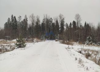 Участок на продажу, 11.25 сот., Сосновый Бор