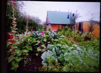 Продажа дома, 30 м2, СНТ Торнобас