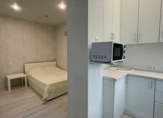 Продаю квартиру студию, 25 м2, Сочи, улица Чекменёва, 26, микрорайон Старая Мацеста