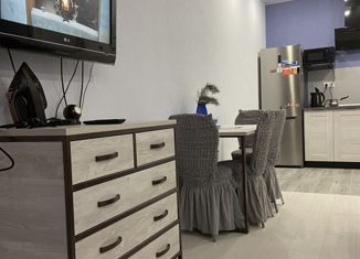 Сдам в аренду квартиру студию, 34 м2, Петрозаводск, Береговая улица, 2к2, Октябрьский район