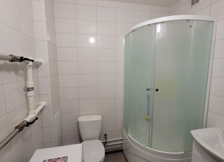 Продам квартиру студию, 27 м2, Екатеринбург, Рощинская улица, 28, ЖК Тихий Берег-4