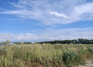 Продается участок, 8 сот., село Панская Слобода