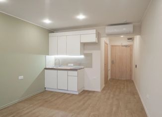 Продам квартиру студию, 26.1 м2, Санкт-Петербург, Малый проспект Васильевского острова, 54к2, Малый проспект Васильевского острова