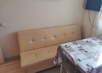 Продам однокомнатную квартиру, 33.7 м2, Санкт-Петербург, ЖК Граффити, проспект Королёва, 59к1