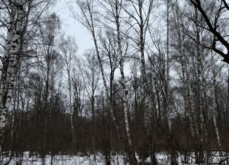 Продаю земельный участок, 20 сот., деревня Чепелёво, Ореховая улица, 37А